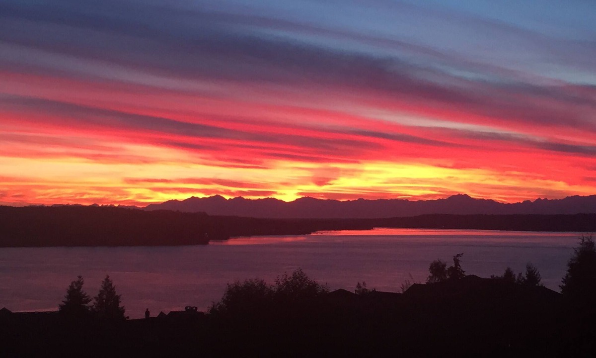 University Place House | 5BR Sweeping View Puget Sound <1 Mile to Chambers Bay U.S. Open Golf Course