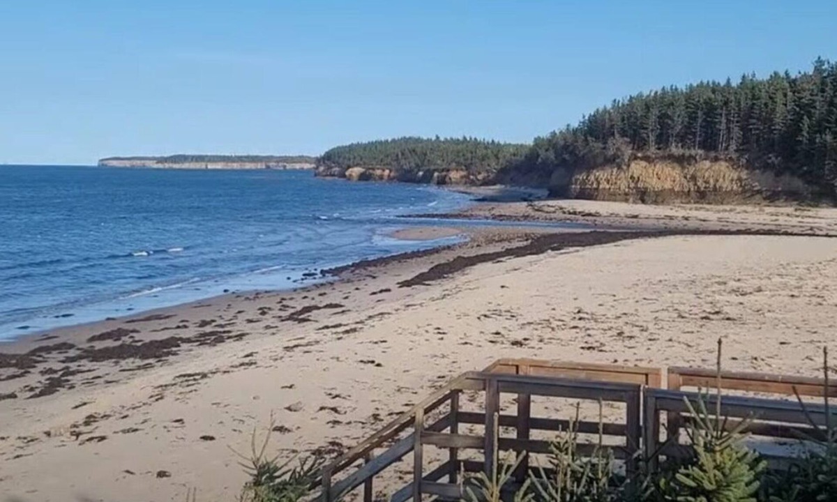 Black Rock Cabin | Beach access with Ocean View; Cabot Trail 25 km away.