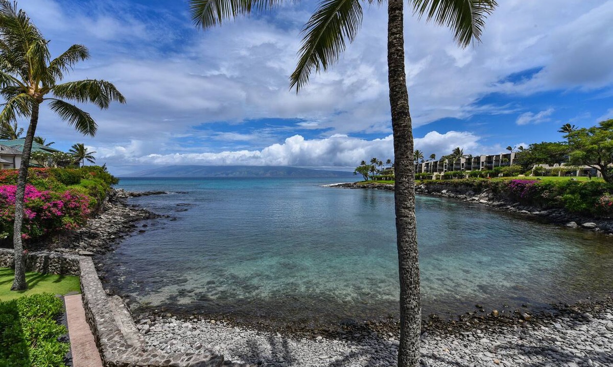 Napili Condo | Breathtaking Cove Front Beauty in Napili