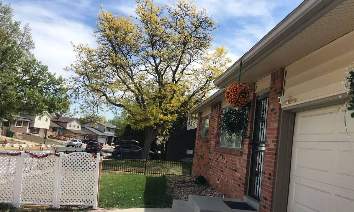North Central Westminster House | Clean, Cozy & Convenient 3BR/2BA Perfect for Families close Denver & Boulder