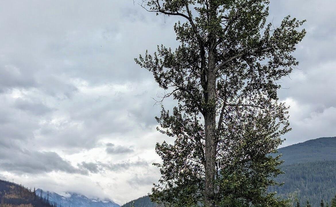 McBride Cabin | Cozy and Relaxing Getaway Cabin #13