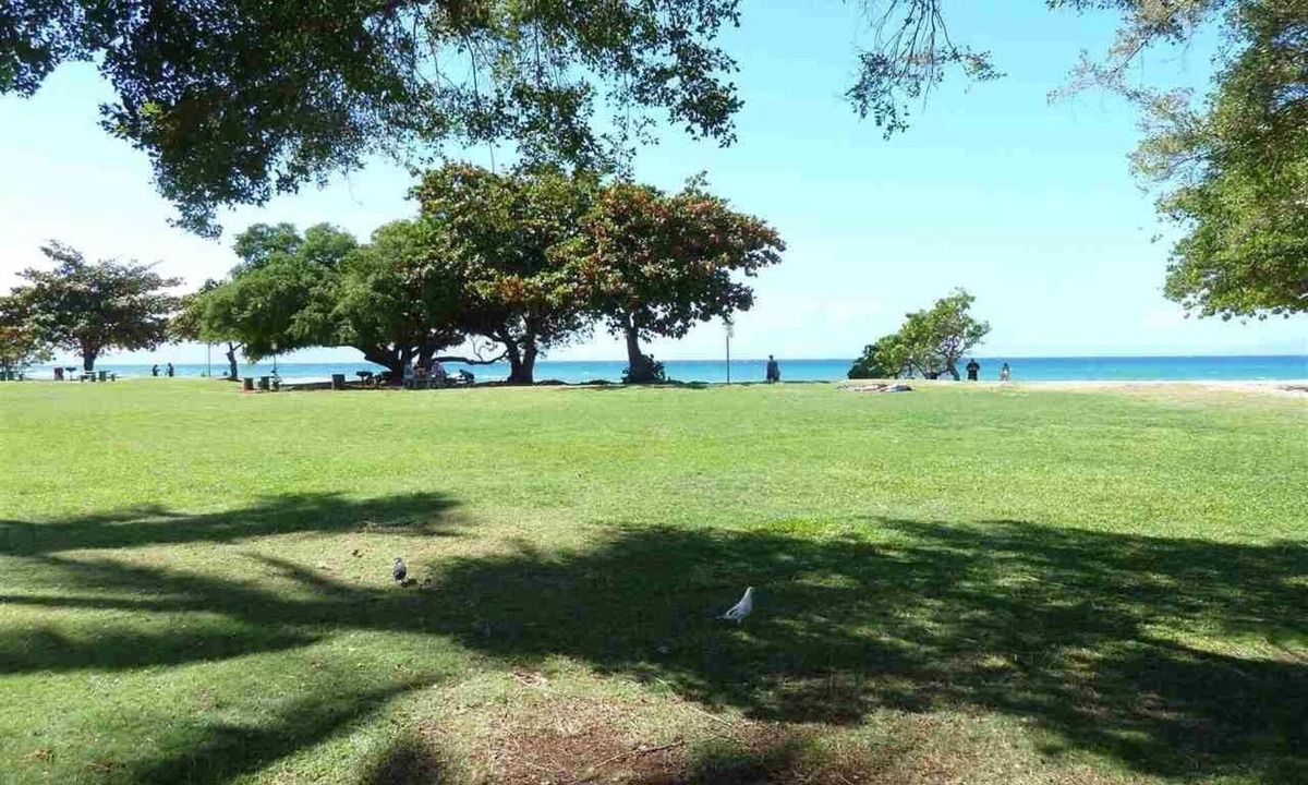 Honokowai Condo | Cozy Maui Condo Near Kaanapali with Beach Park in Front of Complex! 2 Bedrooms!