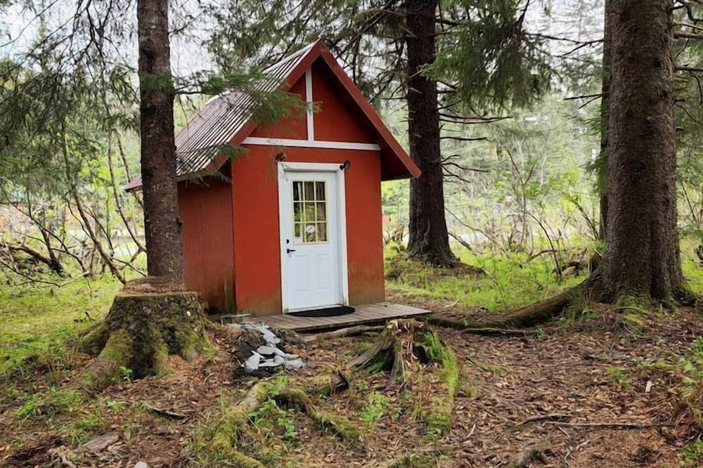 Bear Creek Cabin | Gorgeous Secluded Cabin Nestled in the Middle of the Forest in Seward, Alaska