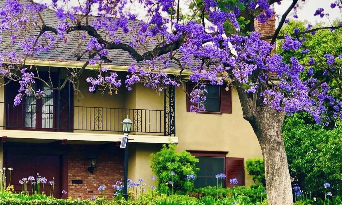 East Pasadena House | Grace Estate: Romantic 7BR Pasadena Retreat with Pool