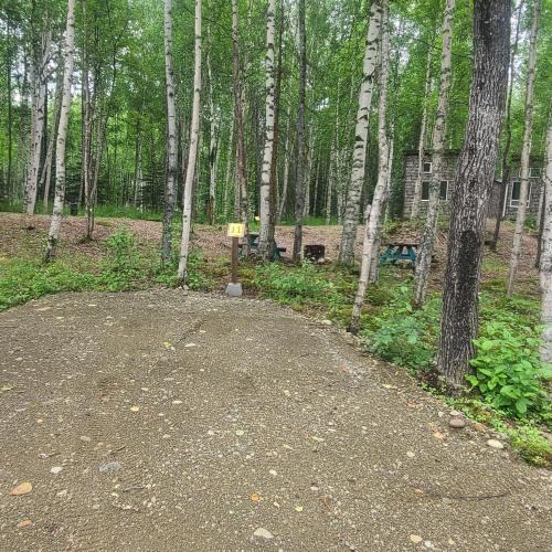 Houston Other | Houston Grass Station Campsite #11