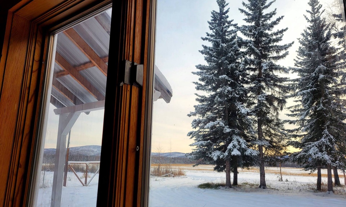 Fairbanks Cabin | On-site Sled Dog Demo! Big sky aurora! Stunning views.
