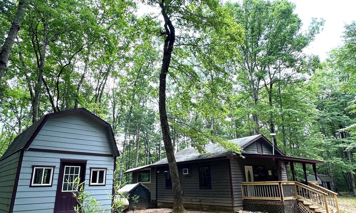 Unaka Cabin | Peaceful cozy cabin in the woods