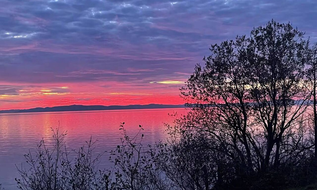 Blaine House | Private Rustic Birch Bay Hideaway with Acreage and Expansive Island Views!
