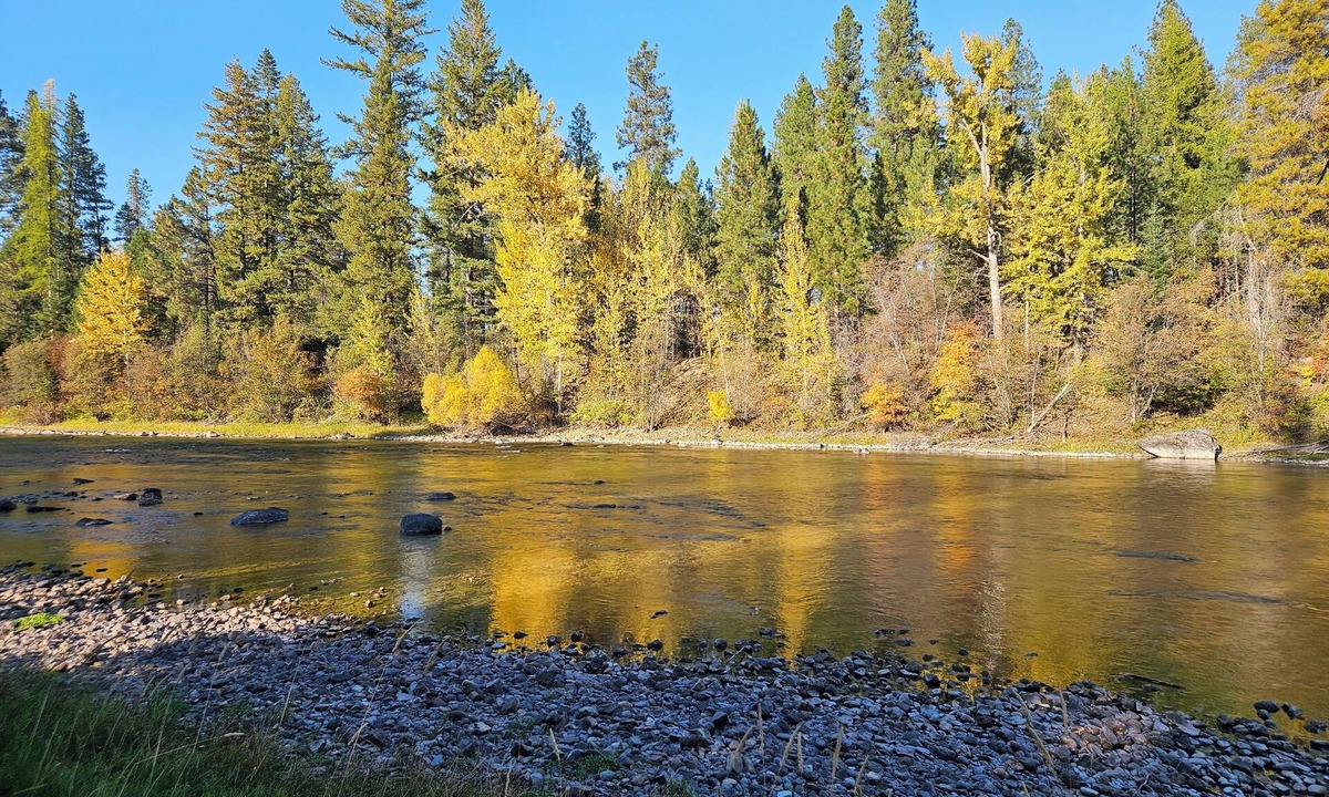 Bigfork Cottage | Riverfront Cottage Peaceful, Natural Setting