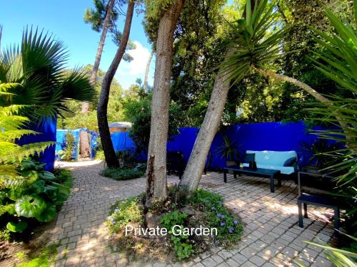 Domino Apartment | Studio with beautiful private garden on the forest in Domino