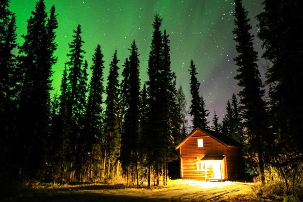 Fairbanks House | The Cabin in the Woods 3 森林小屋 3