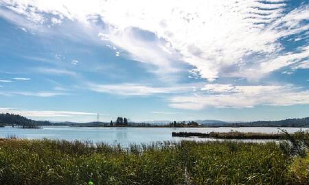 Astoria Bed & Breakfast | Waterfront 1BR stateroom with bay & ocean views, balcony, and full kitchen.