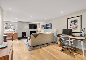 Aspen Alps - Wonderful deluxe studio