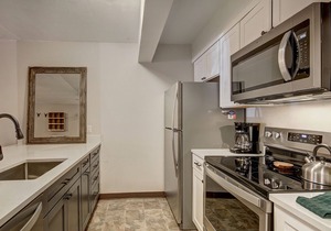 New Remodel! Slope Side Access and Fast WiFi