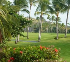 Keauhou Punahele 