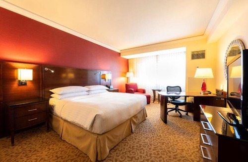 Aguascalientes Hotel | Aguascalientes Marriott Hotel