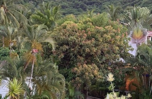 Los Ayala House | BEACHFRONT – Charming 1BR Bungalow Steps from the Sand