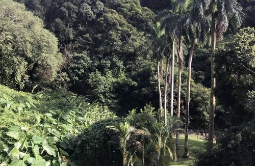 Nuuanu - Punchbowl House | Beautiful home in the rainforest near Honolulu