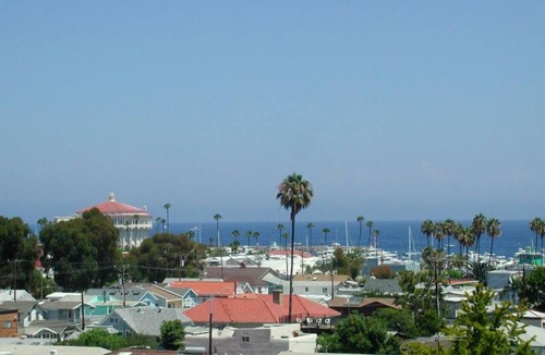Avalon Condo | C59: Cozy Condo, Balcony W/Hillside & Ocean Views, 30 Mooring Available