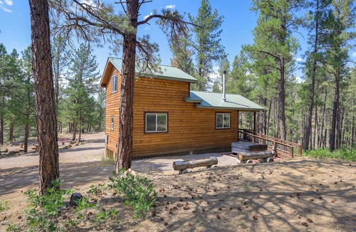 Bayfield Cottage | 'cabin at the Little Ranch' w/Hiking On-site!