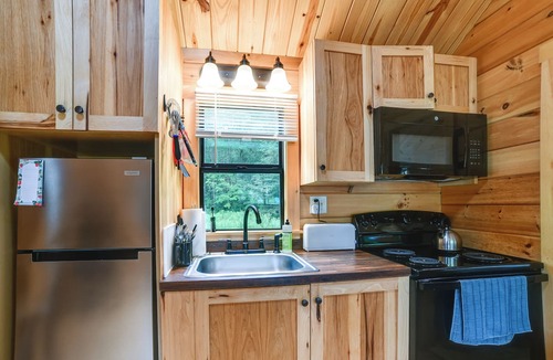 Sidney Center Cottage | Catskills Tiny Home Cabin: Surrounded by Nature!