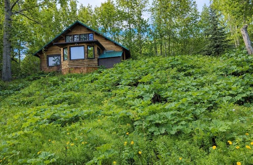 Palmer Cabin | Charming 1-bedroom Cabin in Palmer perfect for a cozy getaway