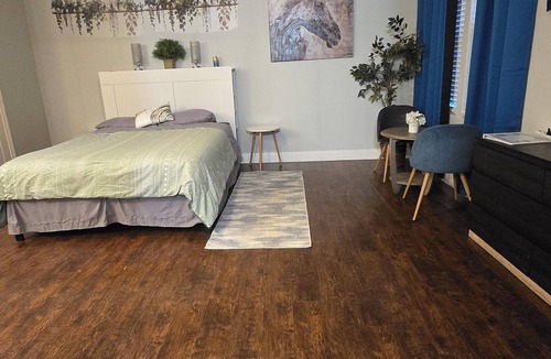 Denton Cottage | Charming 1-bedroom Studio Apartment Few Blocks from TWU