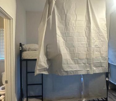 Wilmington Hostel | Chestnut Hostel