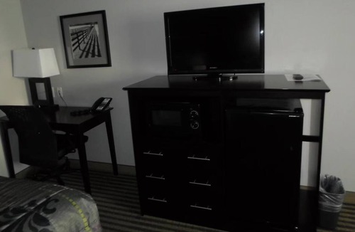 Beeville Hotel | Comfortable Studio Perfect for Pet Lovers Visiting Beeville Attractions