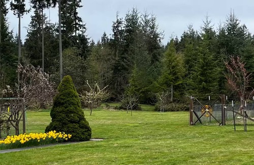 Clinton Cabin | Cozy Acres Tiny House in Clinton on Whidbey Island perfect for relaxing getaway