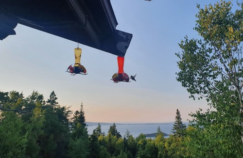 West Bay House | Cozy log cabin with fantastic views and 2 bathrooms