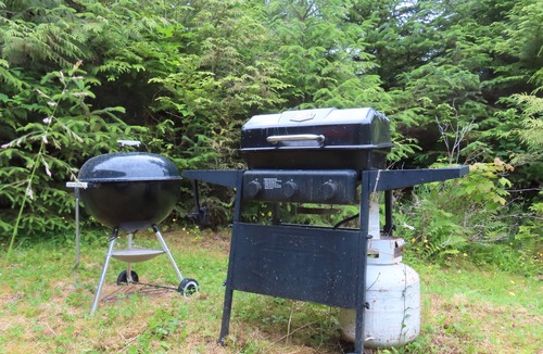 Coffman Cove Cabin | Cozy & Quiet Cabin 2 minutes from Coffman Cove Harbor - 16' Skiff & Van avail.