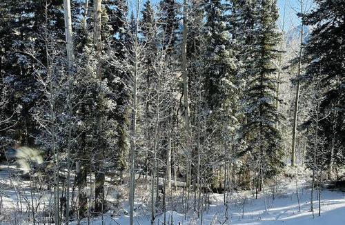 Purgatory Condo | Custom Condo 1.5 miles North of Purgatory