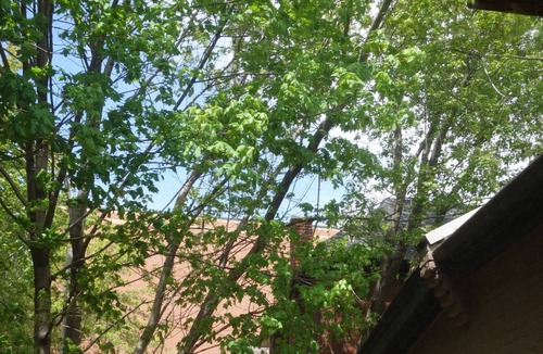 Central Hamilton House | Downtown Hamilton 2 Bedroom Private Home With Fenced Deck- Chic And Comfortable