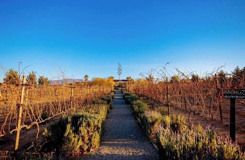 Valle de Guadalupe Cabin | Eclipse Cabin - Luna del Valle