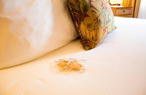 Volcano Hotel | Everything You Need For The Perfect Vacation! Free Parking w/Bike Rentals!