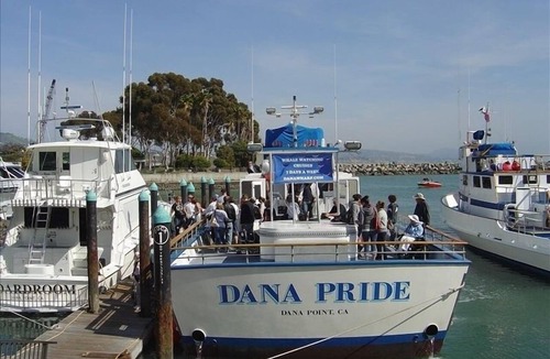 Dana Point Condo | +Front row condo. Steps to sandy beach, sunset, trails. Exclusive Resort+