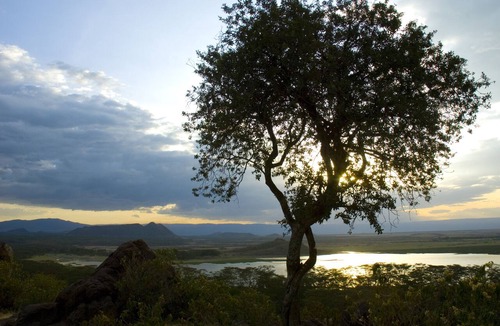Gilgil Hotel | Jacaranda Lake Elementaita Lodge