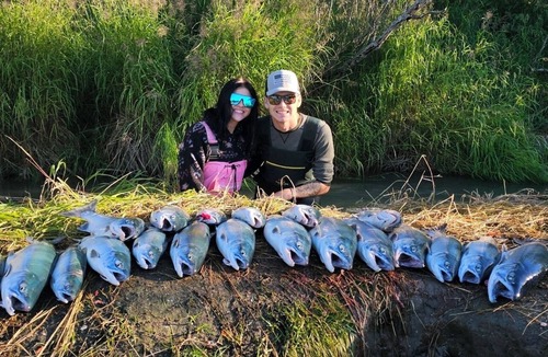 Kalifornsky House | Kenai River fishing access