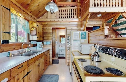Rollins Cabin | Lakefront Log Cabin with Private Dock