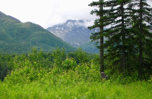 Sutton Cabin | Life is better in the mountains