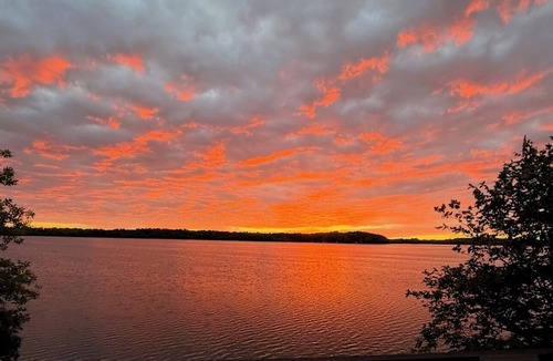 Clitherall Cabin | Looking for a secluded lake cabin? 5+ acres, 400’ shoreline on Stuart Lake!