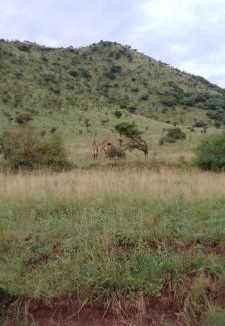 Pwani Apartment | Mapada