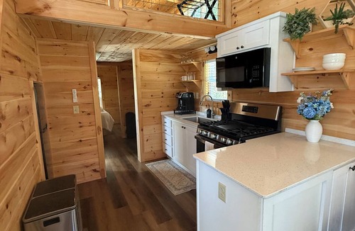 Mills River Cottage | Modern 2BR tiny house, fully furnished, pavilion, firepit.