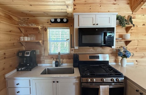 Mills River Cottage | Modern 2BR tiny house, fully furnished, pavilion, firepit.