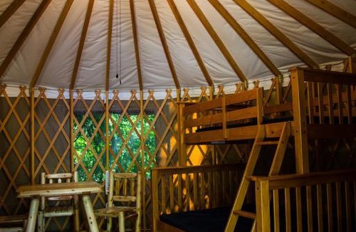 Bow Resort | Mount Vernon Camping Resort 16 ft. Yurt 7