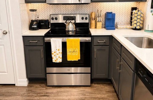 South Central Houston Apartment | Ocean Breeze - 2BR - FIFA - Walk to NRG - Sleep 6