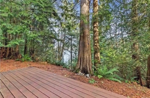 Sudden Valley House | Peekaboo Lake View Cabin in the Trees w/Hot Tub