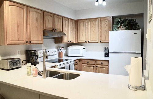 North Park City Condo | Perfect Ski in Ski out - Snowflower #112