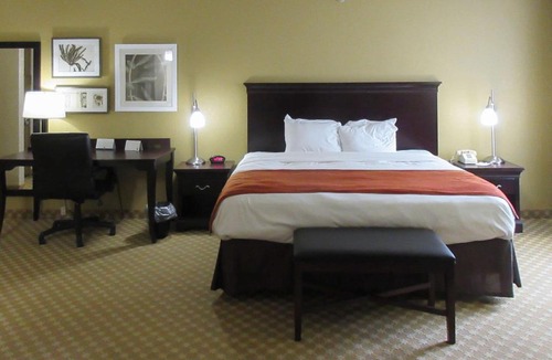 Alexandria Hotel | Quality Inn & Suites Alexandria